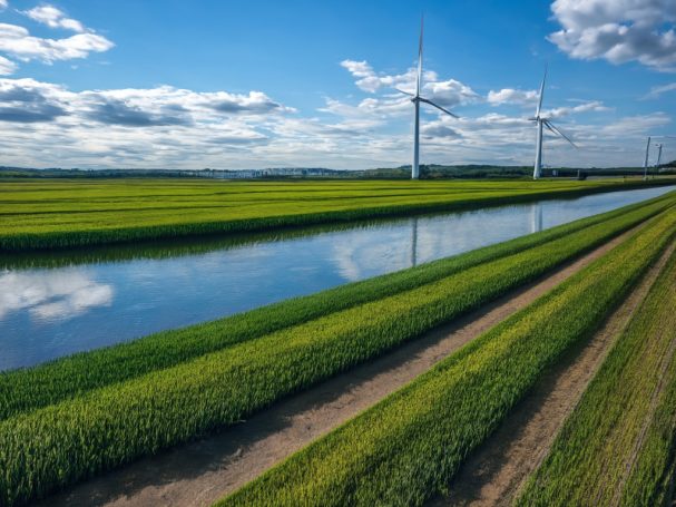 Grüne Felder mit Wasserkanälen und Windrädern unter blauem Himmel.